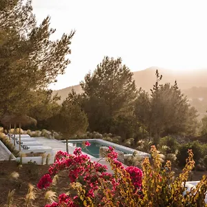Farm stay Domo, Santa Eularia des Riu
